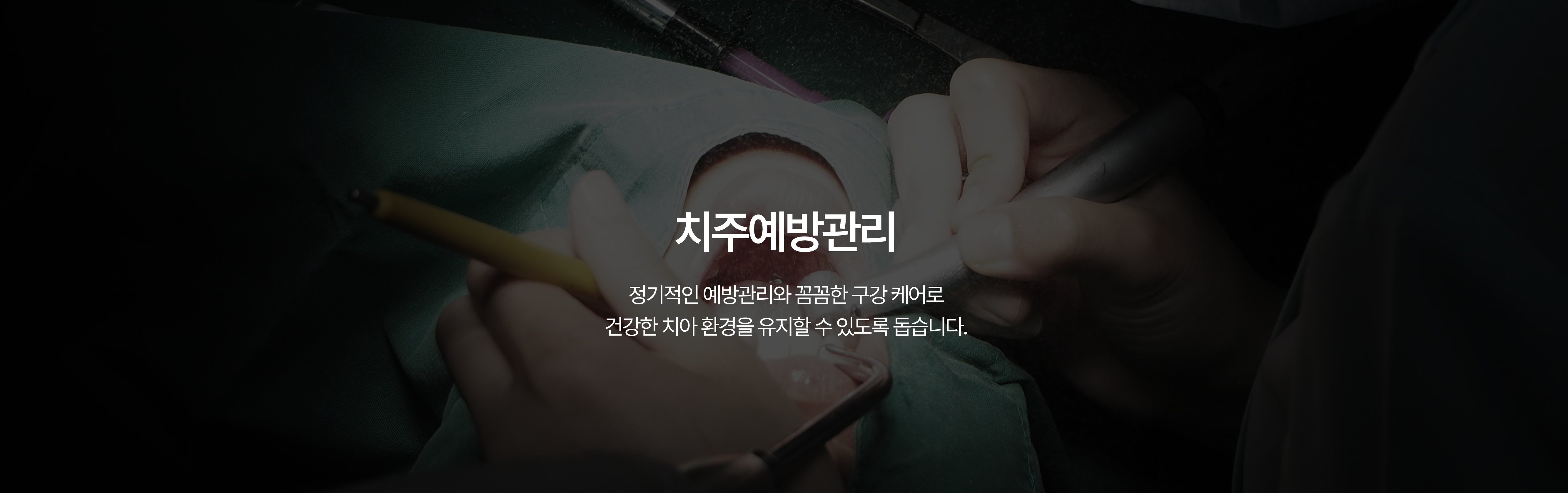 치주치료